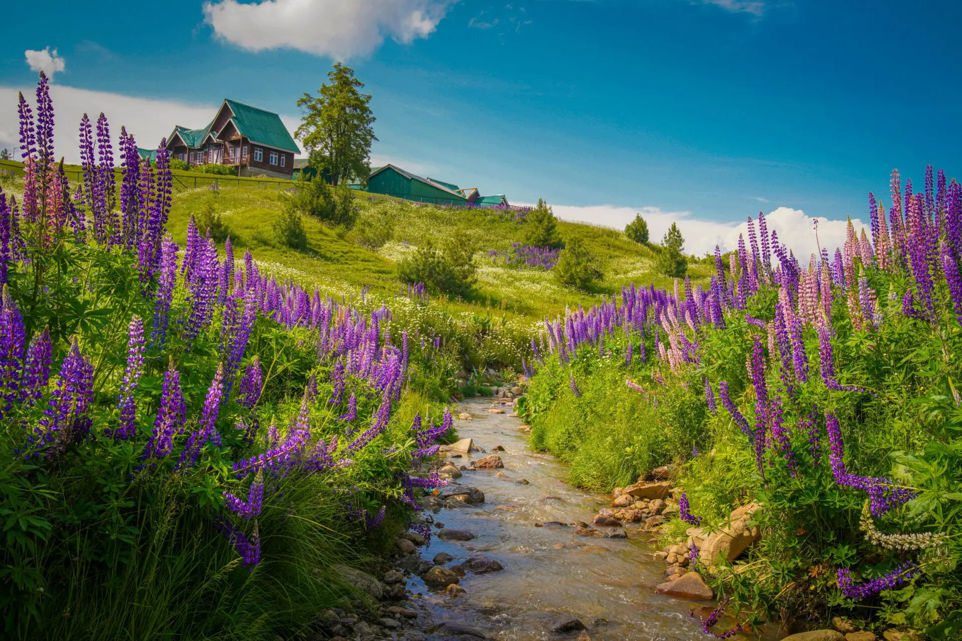 banner-image